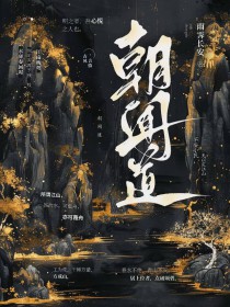 朝闻道陈朝晖书籍